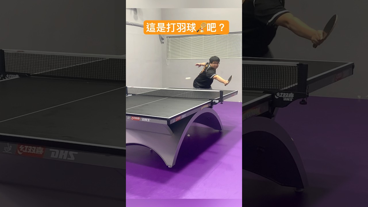 球新星的发